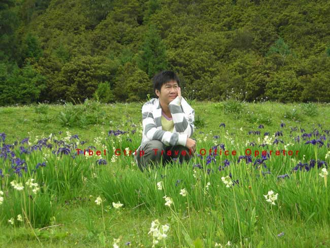 Tibet-Ctrip-Travel-Service-Office-Operator